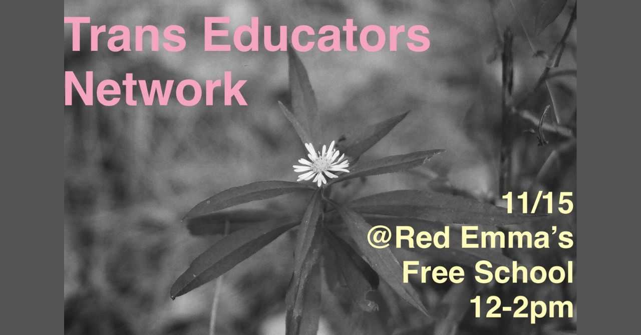 Trans Educatiors